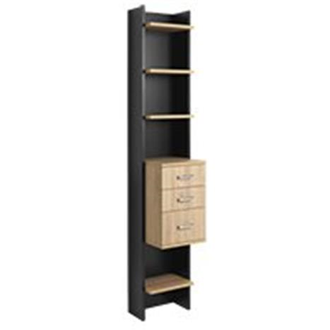 TOTEM Cabinet