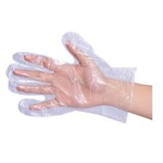 PE Gloves