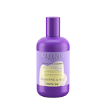 Blondesse No-Yellow Shampoo