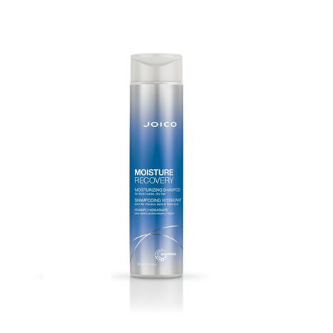 F360_JMR-S-M_34118.png Joico Moisture Recovery Shampoo