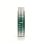 Joico Joifull Volumizing Shampoo